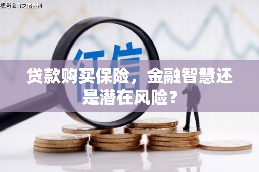 东明贷款购买保险，金融智慧还是潜在风险？