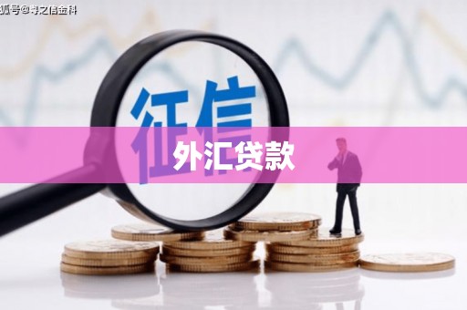 东明外汇贷款