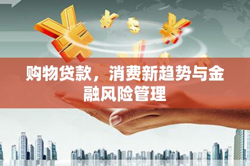 东明购物贷款，消费新趋势与金融风险管理