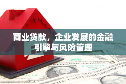 东明商业贷款，企业发展的金融引擎与风险管理