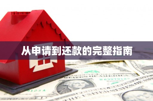 东明从申请到还款的完整指南