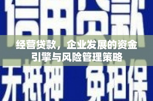 东明经营贷款，企业发展的资金引擎与风险管理策略