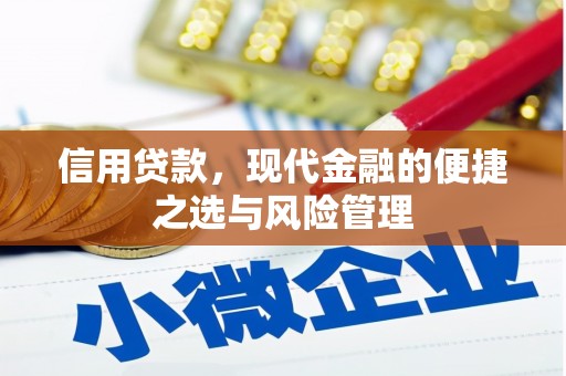东明信用贷款，现代金融的便捷之选与风险管理