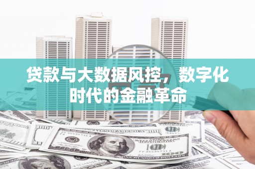东明贷款与大数据风控，数字化时代的金融革命