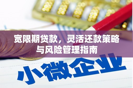 东明宽限期贷款，灵活还款策略与风险管理指南