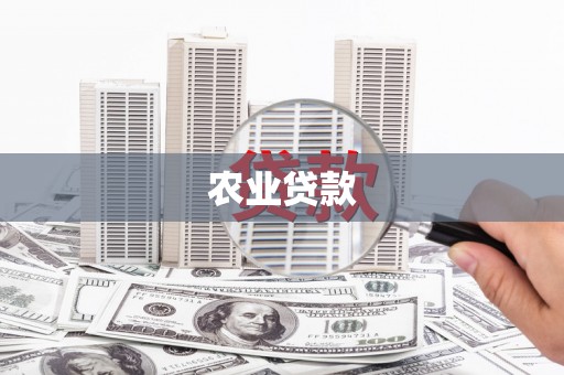 东明农业贷款