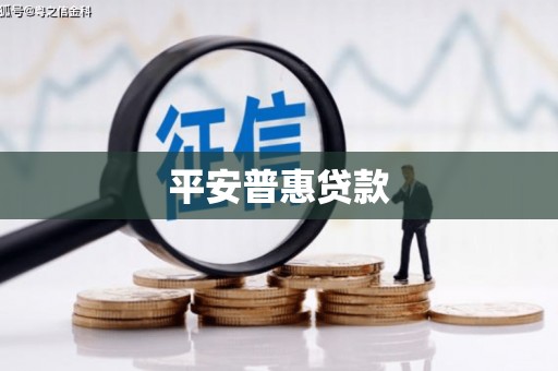 东明平安普惠贷款