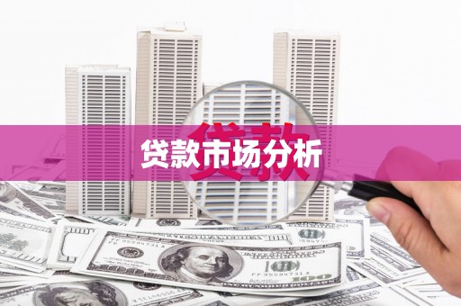东明贷款市场分析
