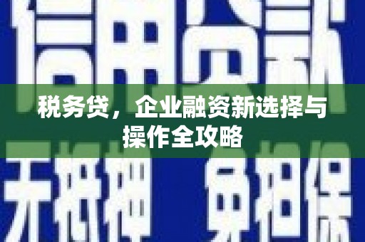 东明税务贷，企业融资新选择与操作全攻略