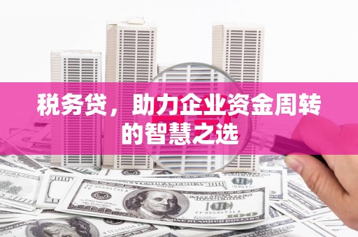 东明税务贷，助力企业资金周转的智慧之选