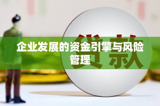 东明企业发展的资金引擎与风险管理