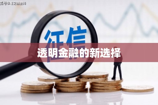 东明透明金融的新选择