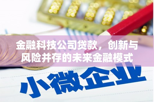 东明金融科技公司贷款，创新与风险并存的未来金融模式
