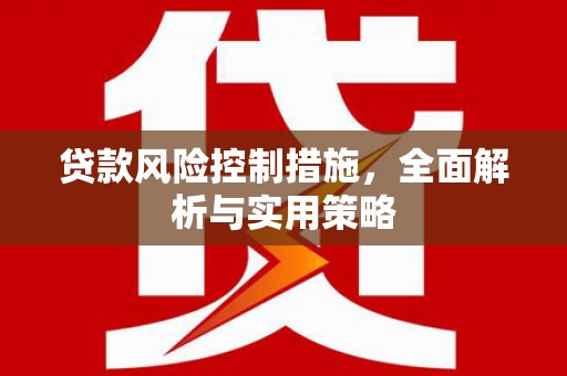 东明贷款风险控制措施，全面解析与实用策略