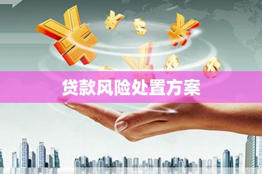 东明贷款风险处置方案