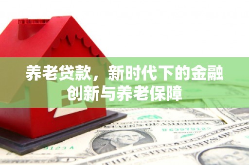 东明养老贷款，新时代下的金融创新与养老保障