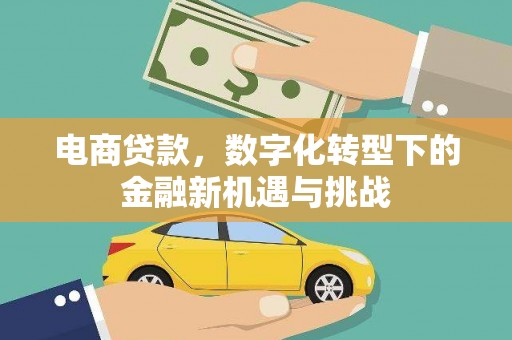 东明电商贷款，数字化转型下的金融新机遇与挑战