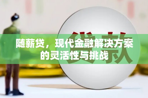 东明随薪贷，现代金融解决方案的灵活性与挑战