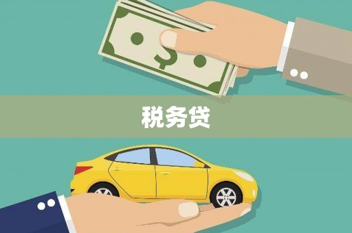 东明税务贷