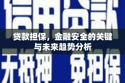 东明贷款担保，金融安全的关键与未来趋势分析