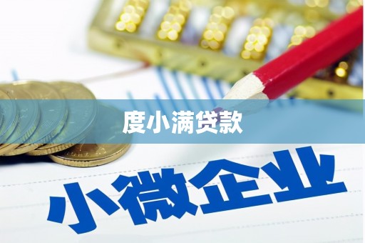 东明度小满贷款