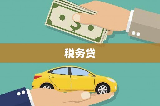 东明税务贷