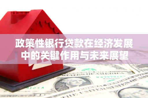 东明政策性银行贷款在经济发展中的关键作用与未来展望