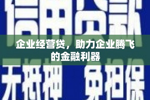 东明企业经营贷，助力企业腾飞的金融利器