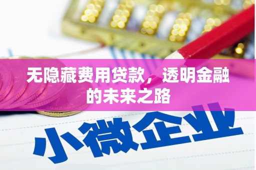 东明无隐藏费用贷款，透明金融的未来之路