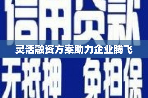 东明灵活融资方案助力企业腾飞