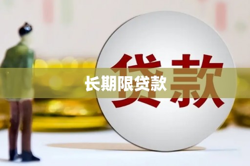 东明长期限贷款