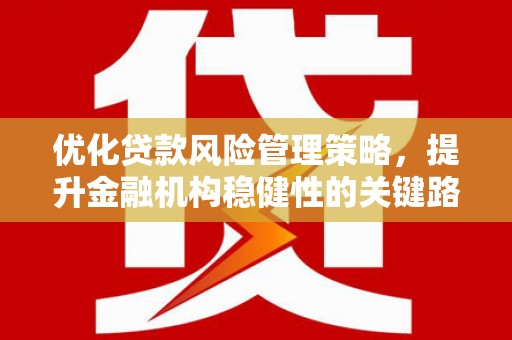 东明优化贷款风险管理策略，提升金融机构稳健性的关键路径