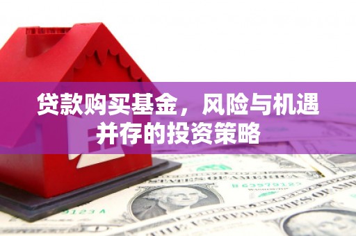 东明贷款购买基金，风险与机遇并存的投资策略
