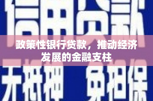 东明政策性银行贷款，推动经济发展的金融支柱