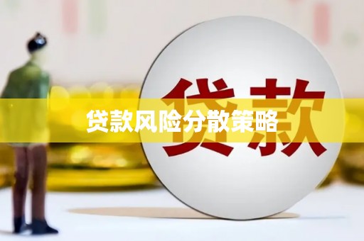 东明贷款风险分散策略