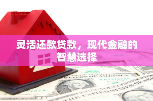 东明灵活还款贷款，现代金融的智慧选择