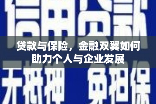 东明贷款与保险，金融双翼如何助力个人与企业发展