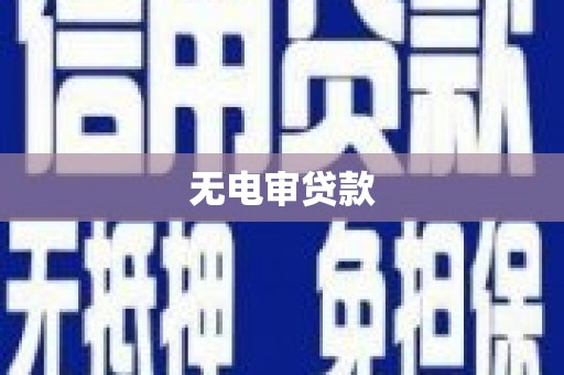 东明无电审贷款
