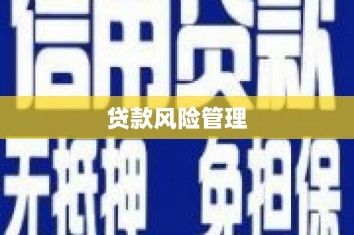 东明贷款风险管理