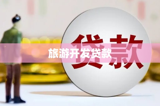 东明旅游开发贷款
