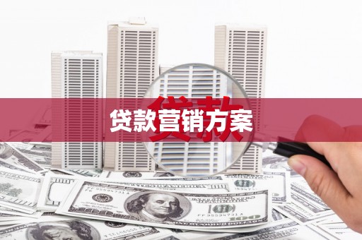 东明贷款营销方案