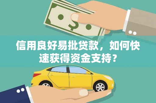 东明信用良好易批贷款，如何快速获得资金支持？