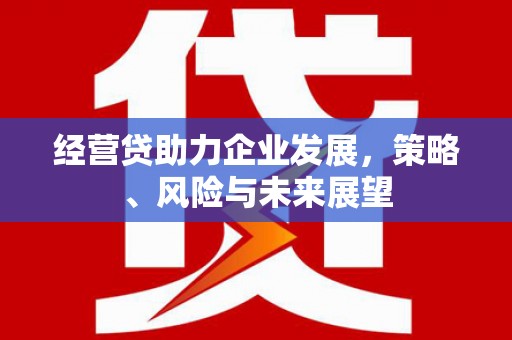 东明经营贷助力企业发展，策略、风险与未来展望