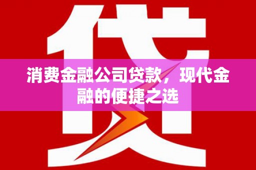 东明消费金融公司贷款，现代金融的便捷之选
