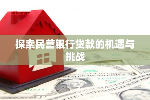 东明探索民营银行贷款的机遇与挑战