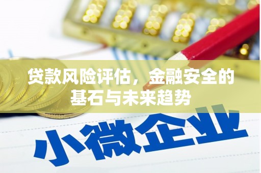 东明贷款风险评估，金融安全的基石与未来趋势