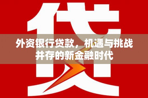 东明外资银行贷款，机遇与挑战并存的新金融时代