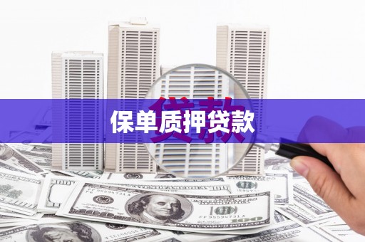 东明保单质押贷款