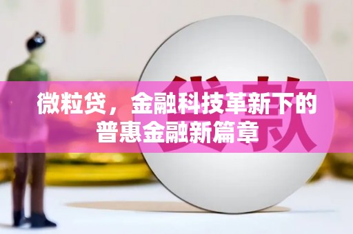 东明微粒贷，金融科技革新下的普惠金融新篇章
