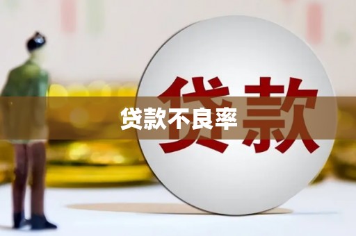 东明贷款不良率